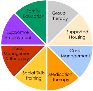 Mental Health Court Program Components Chart