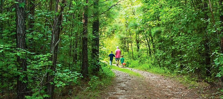Parks and Nature Woodland Trail