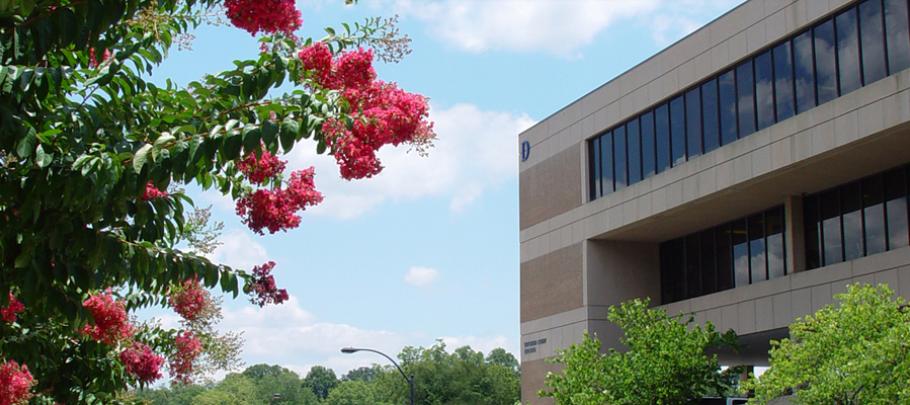 Juvenile Court Cobb County Georgia