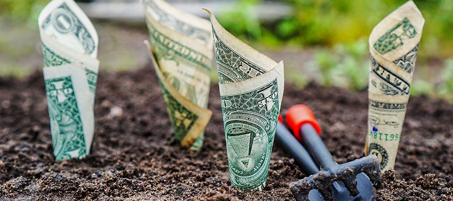 Growing Money