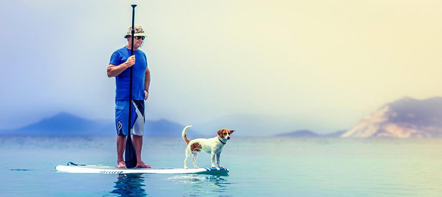 Elderly man paddle boarding with dog