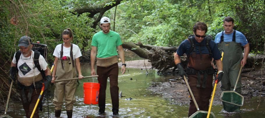 Stream Monitoring Helpers