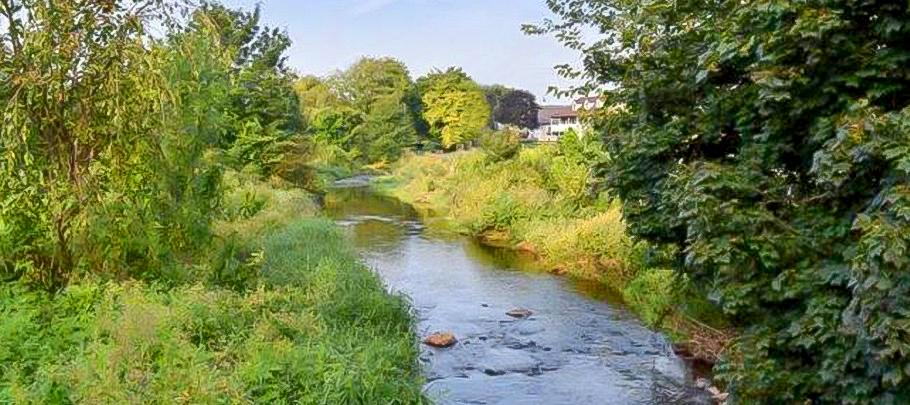 Stream flowing through field