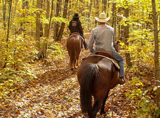Equestrian Riders