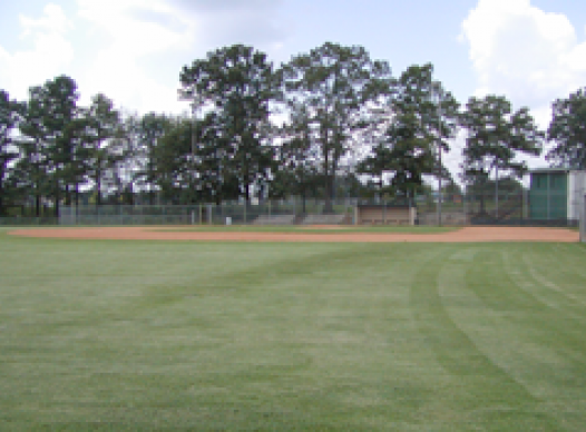 Mount Bethel Park baseball
