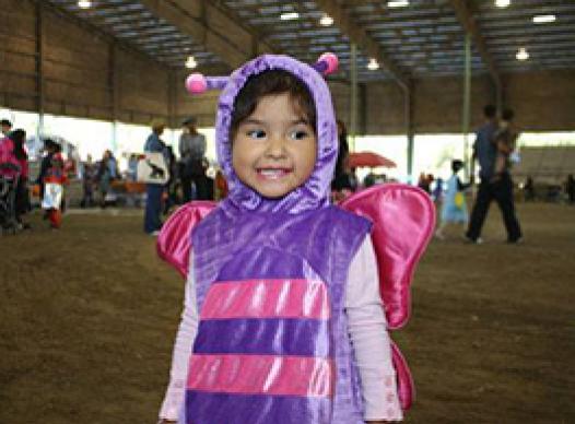 Fall Festival October 2017