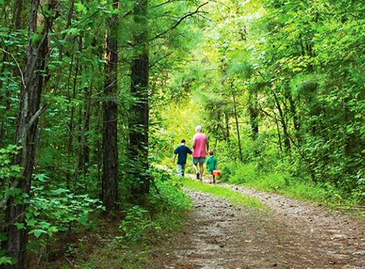 Parks and Nature Woodland Trail