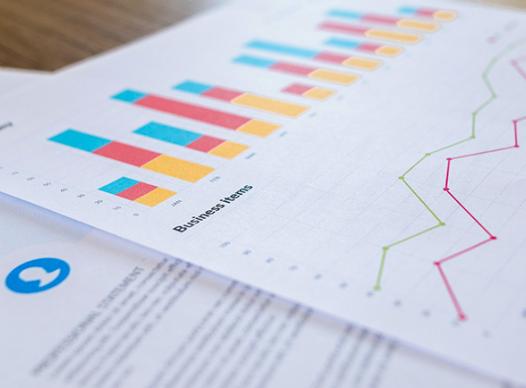 Budget Charts and Graphs
