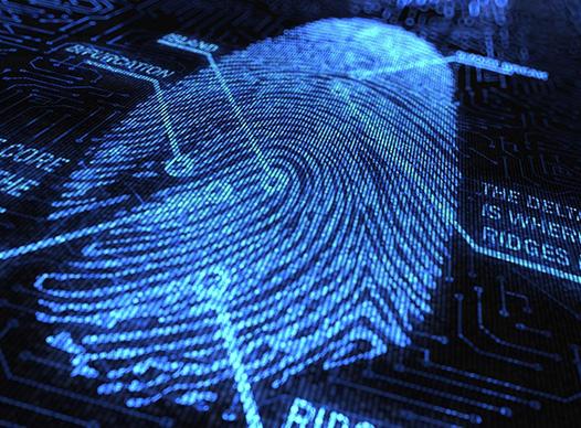 Digital Fingerprint