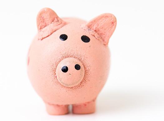 Piggy Bank