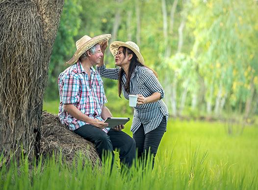 Elderly Couple under a Tree