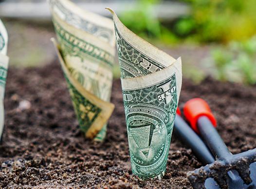 Growing Money
