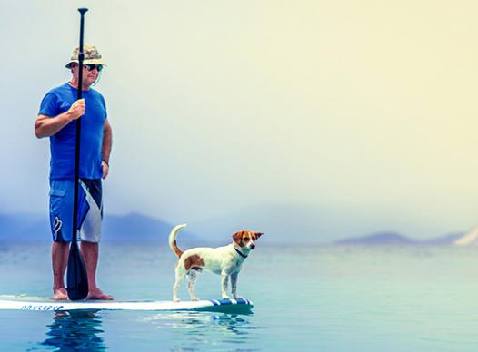 Elderly man paddle boarding with dog