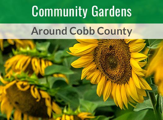 Community Gardens