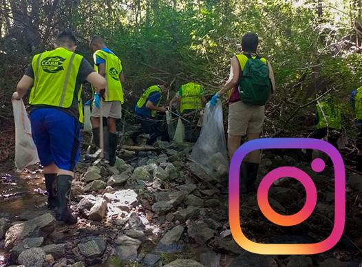 Watershed volunteers waterway cleanup