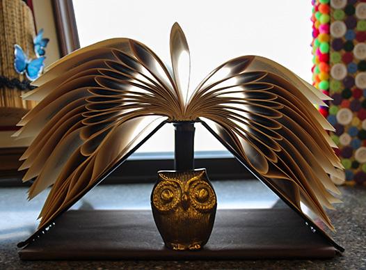 Library Book