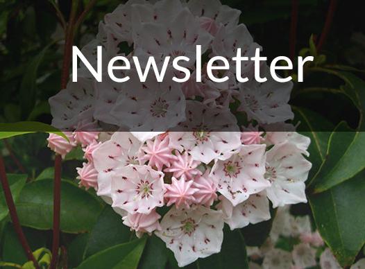 newsletterCover526x388