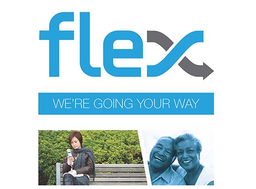 Picture of front cover of FLEX brochure.
