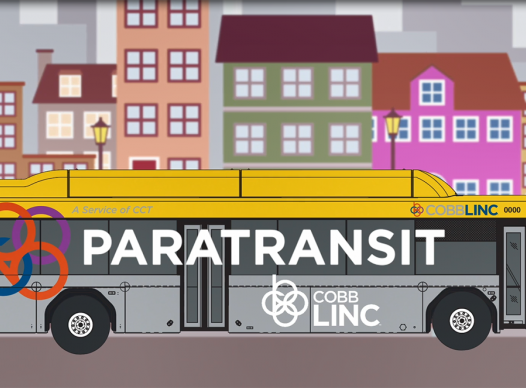 Thumbnail picture of frame from Paratransit video.