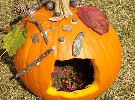 pumpkin