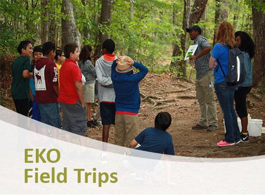 EKO-Thumbnail