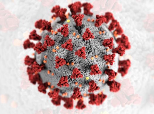 CDC picture of virus