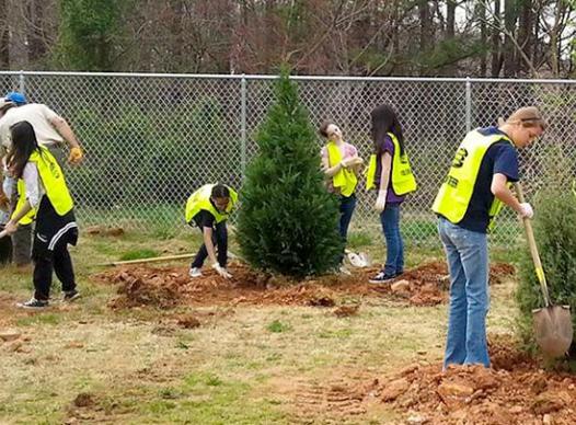 Cobb Trees Program Kids Planting