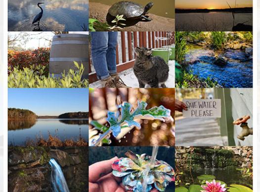 2021-Photo-Contest-Winner-Collage
