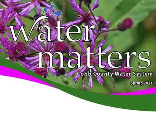 WaterMattersSpring2021webCover