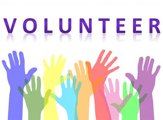 Volunteer with Cobb Water