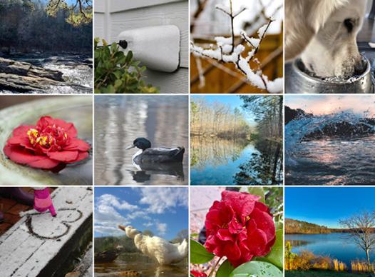 Photo Contest Winners 2022 Collage