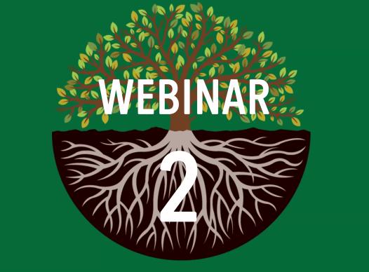 WATCH the ARPA Webinar #2