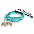 F5-UPG-QSFP+-6M-2-AO image