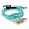 F5-UPG-QSFP+-7M-2-AO image