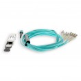 F5-UPG-QSFP+-10M-2-AO image