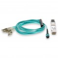 F5-UPG-QSFP+-10M-2-AO image