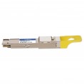 QDD-800GB-DR8P-N-AO image