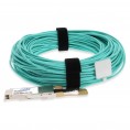 QSFP-100GB-AOC43M-AO image