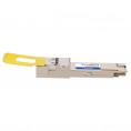 QDD-800GB-2XDR4P-AO image