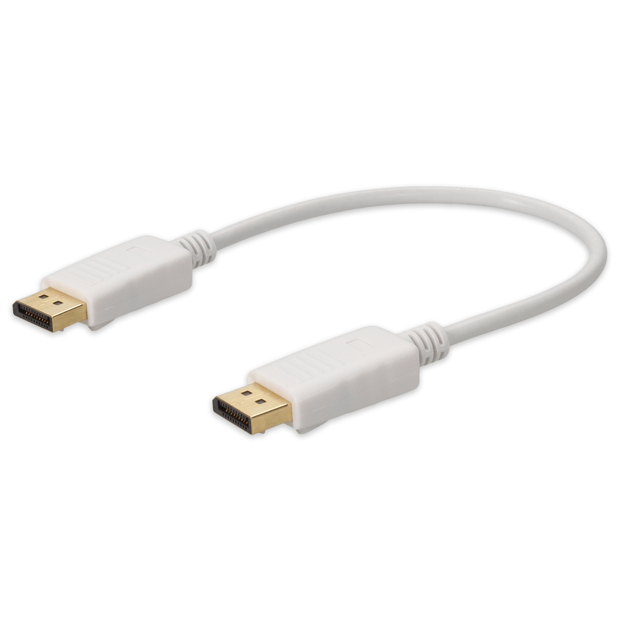 DISPLAYPORT1FW