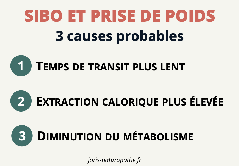 sibo et prise de poids