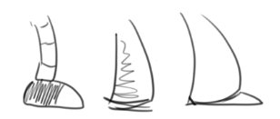 Working out the feet