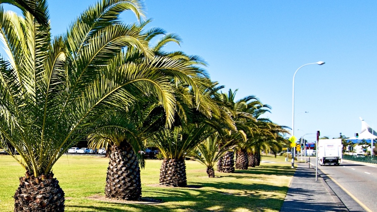 Public space along the Gosford waterfront.