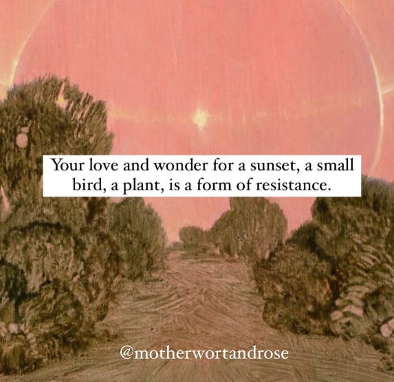 Meme où on voit une peinture d'un chemin entouré d'arbres et de buissons éclairé par un ciel rose avec un halo lumineux au centre. Au milieu on peut lire le texte:"Your love and wonder for a sunset, a small bird, a plant, is a form of resistance."