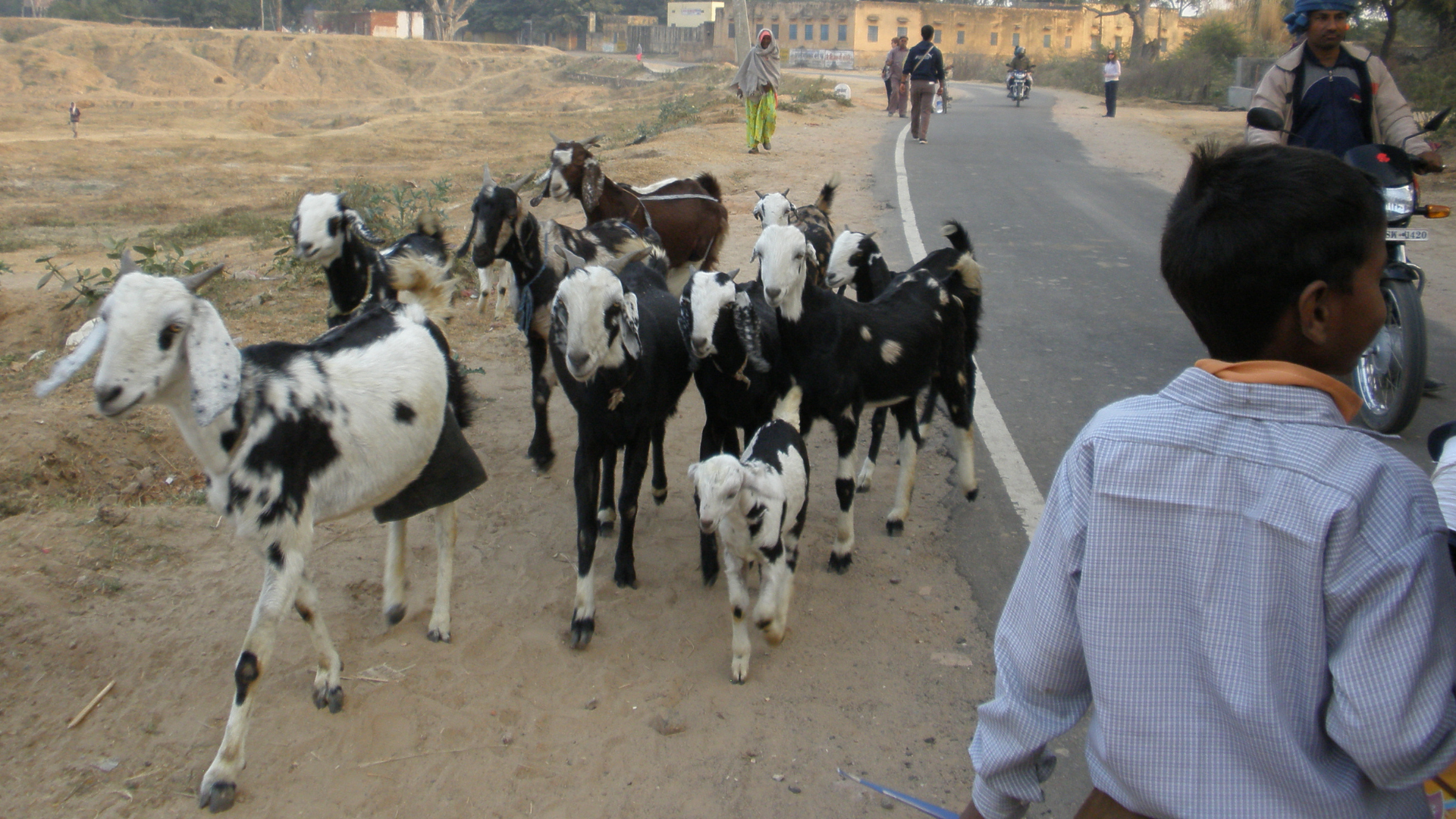 Local village life in Madhogarh