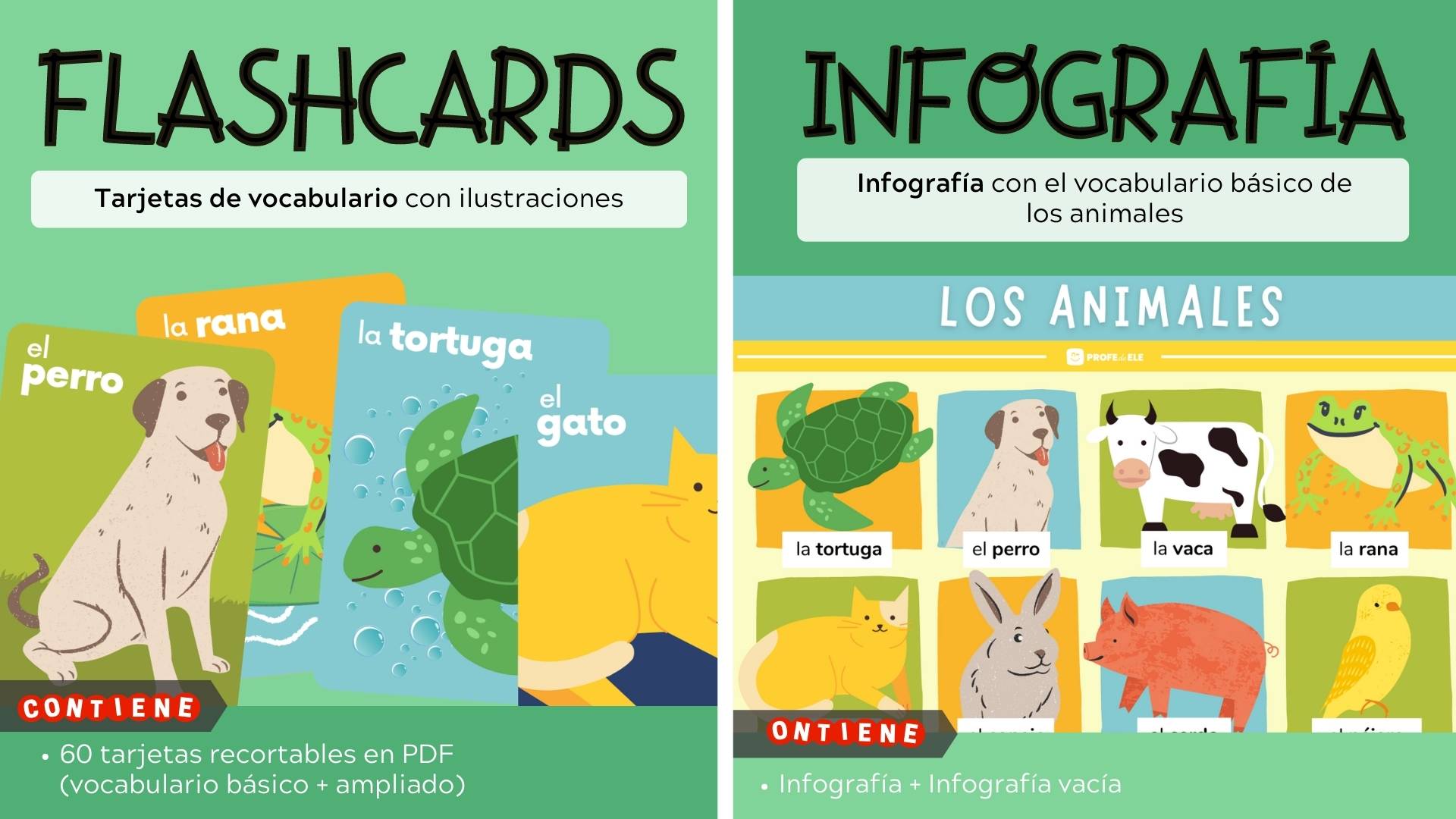 infografía vocabulario animales