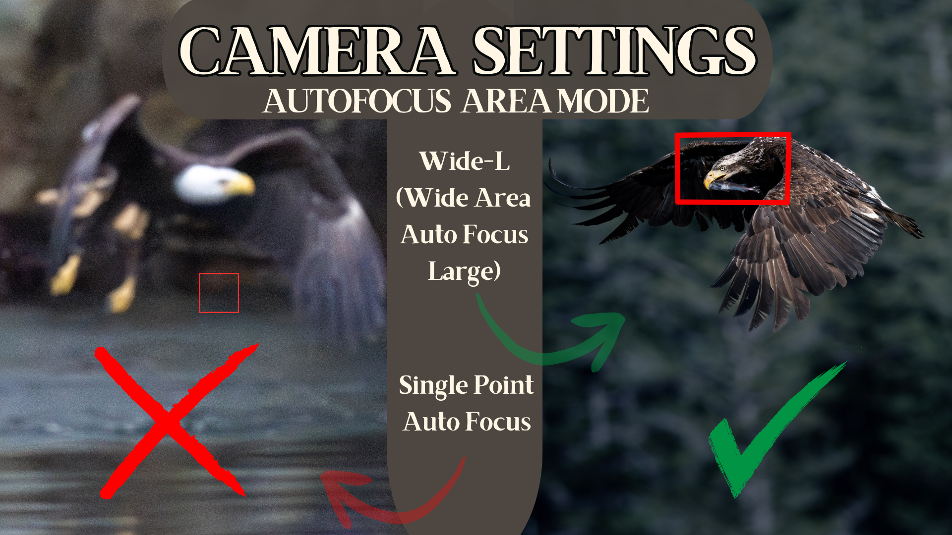Diagram showing focus modes