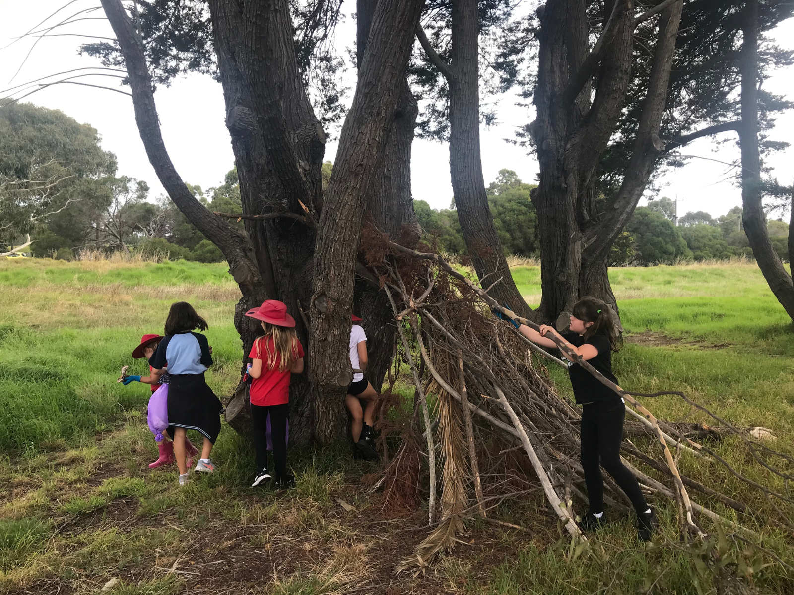 A group of kids building a cubby out in nature