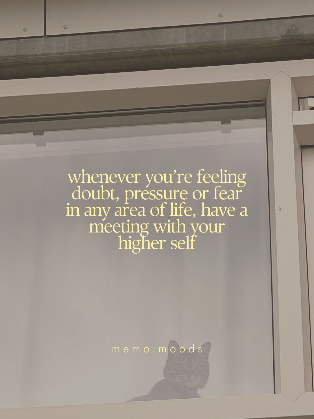 Quote graphic over a minimalist photo of a frosted glass window with a cat peeking just above the windowsill from outside. Text reads: "whenever you're feeling doubt, pressure or fear in any area of life, have a meeting with your higher self." by memo.moods.