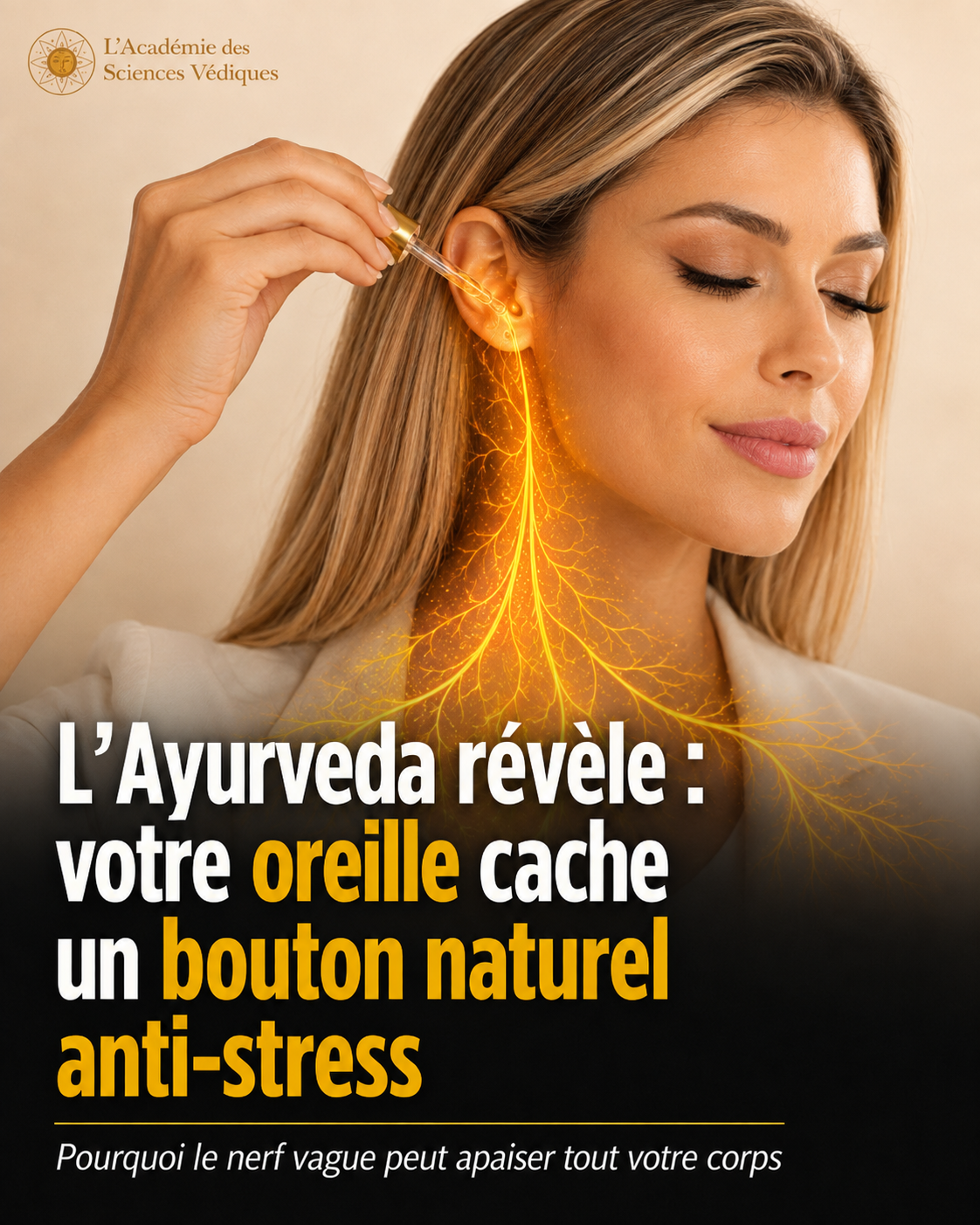 formation ayurveda Nerf vague et oreille : pourquoi l’Ayurveda s’intéresse-t-il autant aux oreilles ?